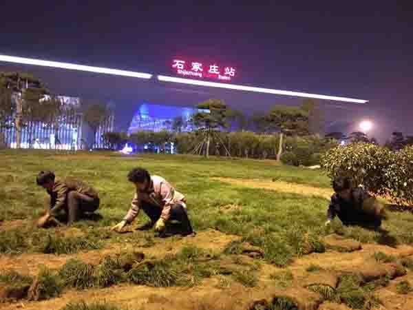 夜戰 